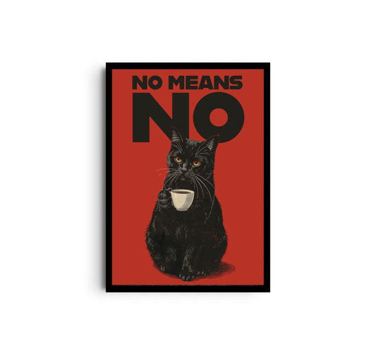 No means no